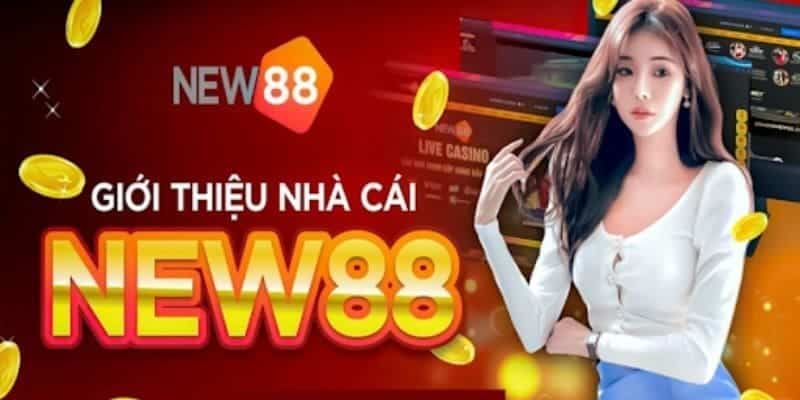 Tận hưởng khoảnh khắc chơi game bài hấp dẫn tại New88