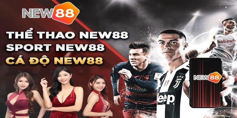 Giao diện thể thao dễ nhận diện tại New88