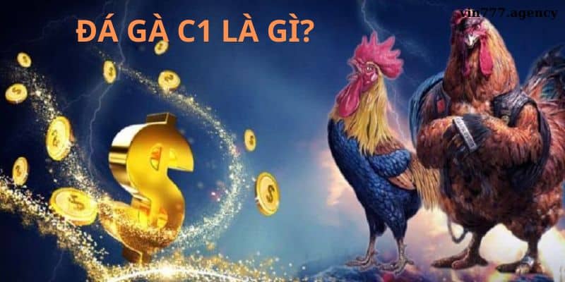 Bí quyết giúp chọi gà luôn giành chiến thắng